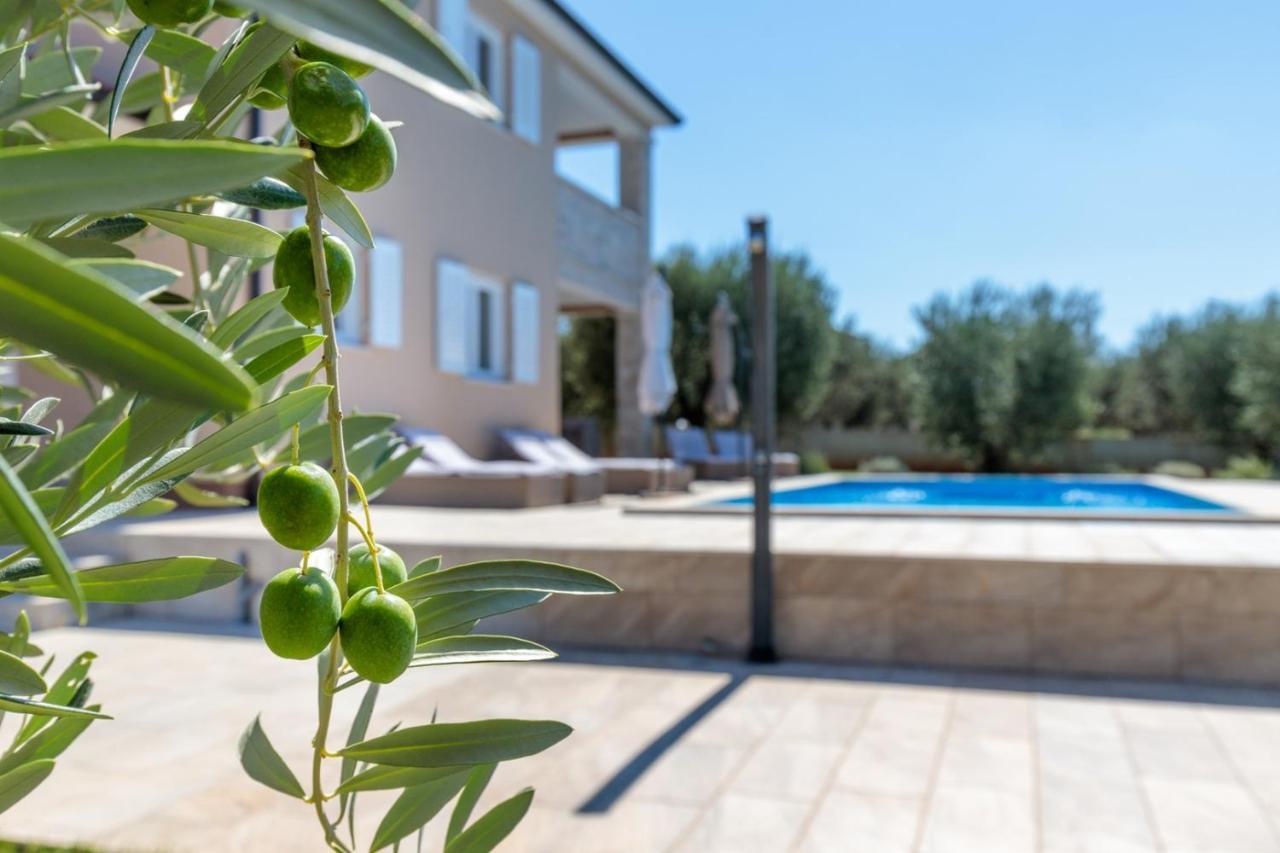 Villa Terlevic Selina Εξωτερικό φωτογραφία